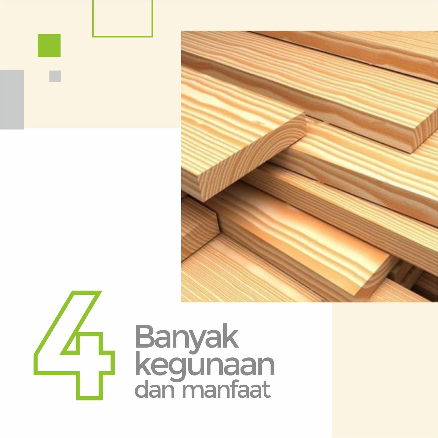 Banyak guna dan manfaat pada kayu jati belanda